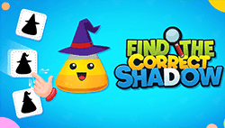 Find The Correct Shadow