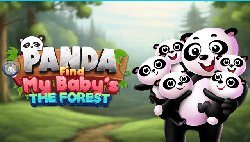 Panda Find My Babys The Forest